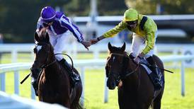 Magical and Addeybb face off again in Champion Stakes