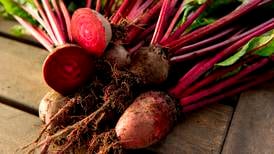Beetroot on the barbecue: a great alternative to meat