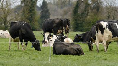 Ireland’s dairy growth threatens farm payments, EU Commission warns