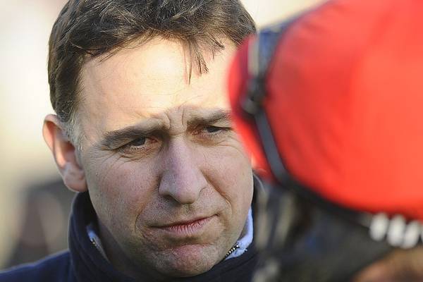Champagne West impresses on profitable day for De Bromhead