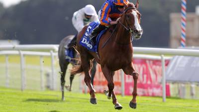 Aidan O’Brien’s Love withdrawn from Arc due to the ground