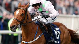 Willie Mullins gives upbeat update on Faugheen and Annie Power
