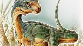 New  dinosaur poses evolutionary puzzle