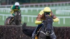 Galopin Des Champs tops massive Dublin Racing Festival entry from Willie Mullins 