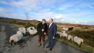 No woolly promises as Timmins canvasses Wicklow sheep farmers
