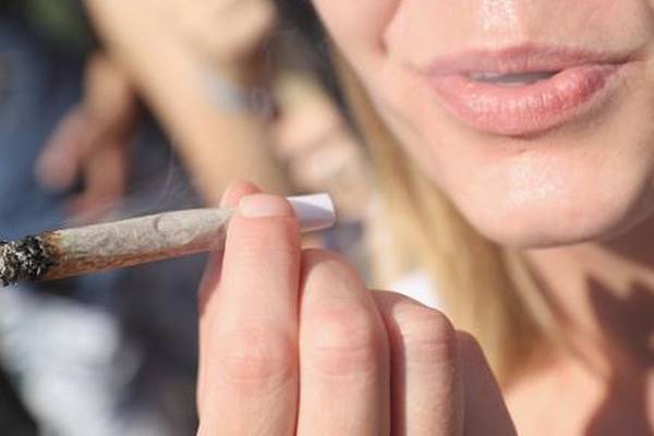 Herbal cannabis worth €230,000 seized at Dublin Airport