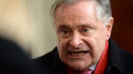 Labour should let Howlin outline his plans, Joan Burton says