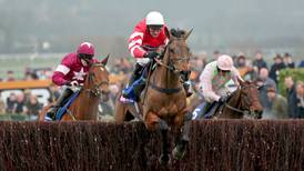Bid to lure Coneygree to Leopardstown for Lexus Chase