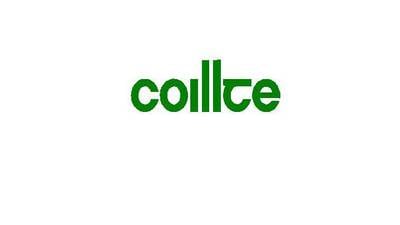 Coillte and SSE raise €176m for wind farm