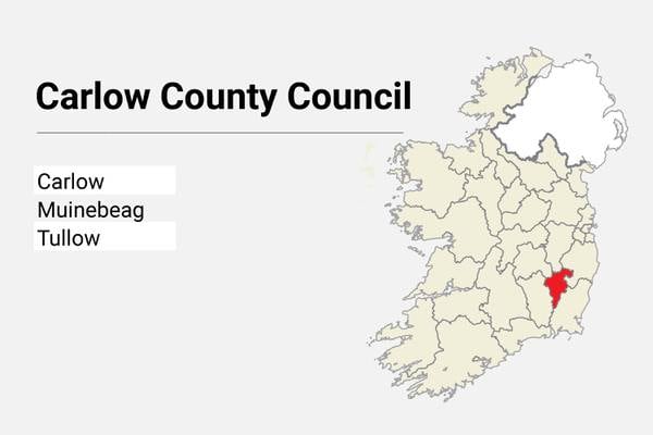 Local Elections: Housing, parks and playgrounds main issues in Carlow County Council area