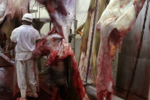 Beef carcasses cleared for consumption despite location doubts