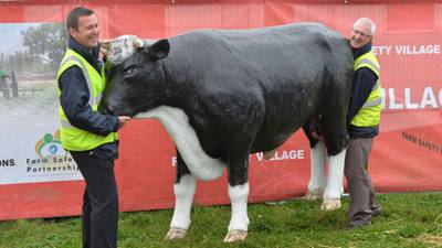 Radio: Would you look at that bull. What a beautiful pelvis