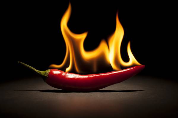 Why is the burn of chilli peppers addictive?