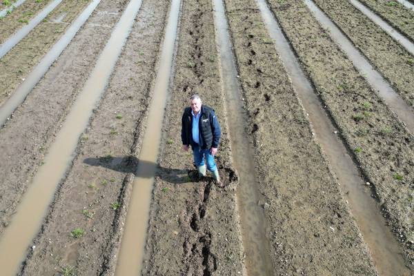 Nine months of rain is creating a mounting crisis for Irish farmers