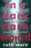 In a Dark Dark Wood