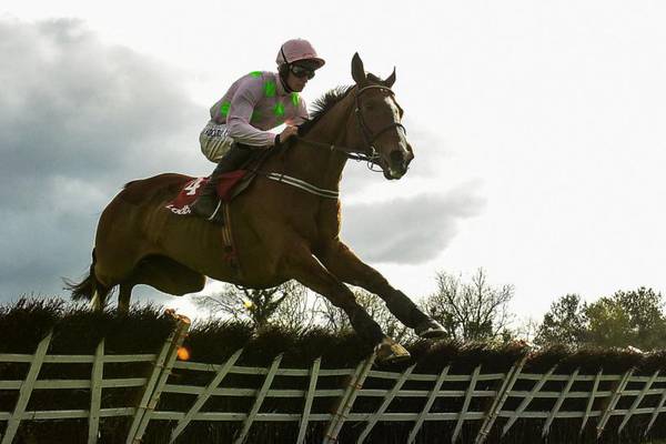 Willie Mullins’ vet charged with revealing inside information