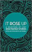 It Rose Up: a Selection of Lost Irish Fantasy Stories