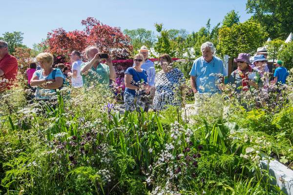 Bloom 2018: everything you need to know about the garden festival