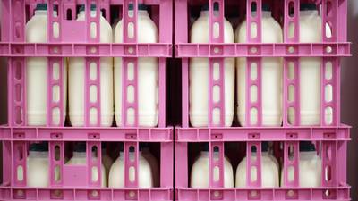 Farm incomes rise despite collapsing milk prices