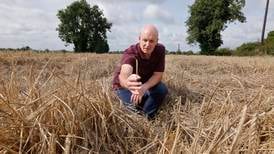 ‘The fields are too wet to harvest’: Farmers fear loss of crops due to record rainfall