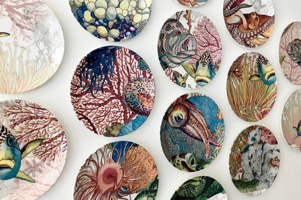 Dublin Castle ceramics show throws some new shapes