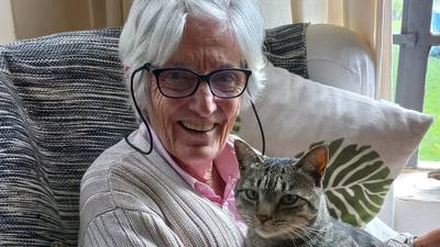 Dementia Diary: ‘Have you got your mum a toy cat yet?’ I was once appalled by this question