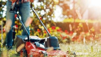 Americans more likely to be killed by lawnmowers than foreign terrorists
