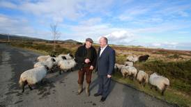 No woolly promises as Timmins canvasses Wicklow sheep farmers