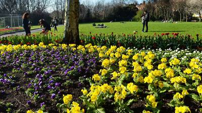 Love green city space? Enjoy Dublin’s Garden Squares day