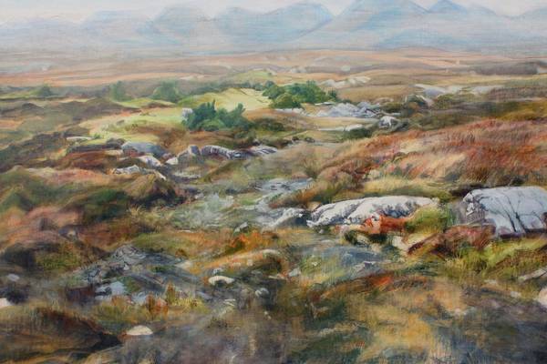 Connemara contrast: mountain and bog, fantasy and reality