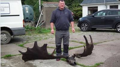 Antlers of extinct giant Irish Elk found at the bottom of a lake