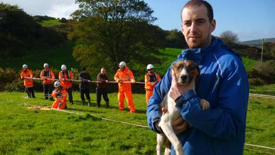 Traumatised beagle rescued from 30m mineshaft in west Cork