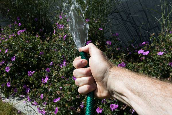 Hosepipe ban to continue in 16 counties until end of September