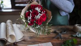 ‘Two bunches of roses, wrapped separately’: A St Valentine’s Day story by Kathleen MacMahon