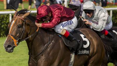 Pallasator to launch strong challenge for Epsom Gold Cup glory