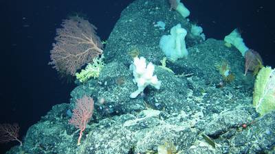 Scientists explore deep sea landscape off the west of Ireland