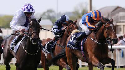 Bolger’s Pleascach has audacious classic hat-trick in  sights