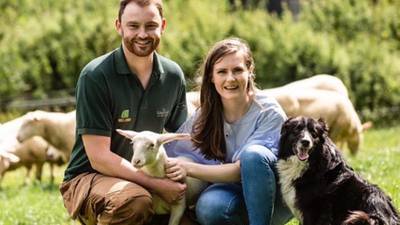 Wicklow couple turn sheep’s milk into artisan food start-up