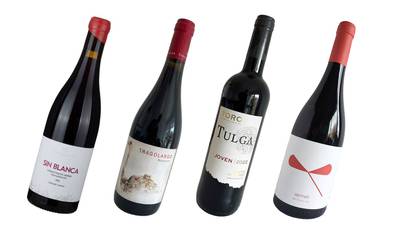 There’s more to Spanish wine than Rioja - here are four from very different regions