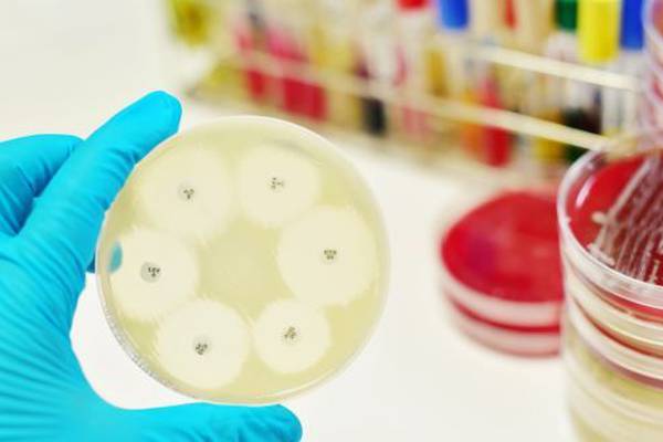 Antibiotic-resistant superbugs pose ‘existential risk’ to Irish health service
