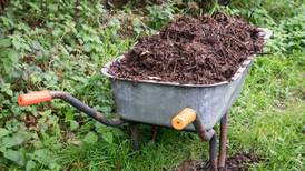 Top tips for making the ultimate compost