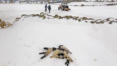 North farmers hit by snow may get payments