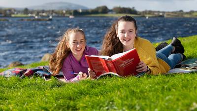 New dictionary not the last word on Irish lexicography