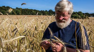 Our daily bread: Ireland’s grain growers and millers