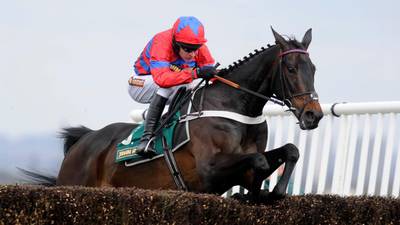 Hopes are high for Sprinter Sacre to travel and light up Punchestown festival