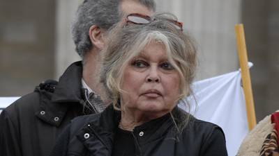 Brigitte Bardot on life in the spotlight: ‘I know what it feels like to be hunted’