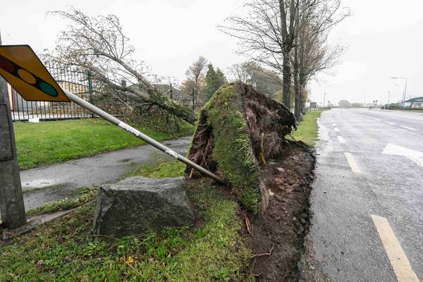 Ophelia clean-up in southeast removes hundreds of uprooted trees