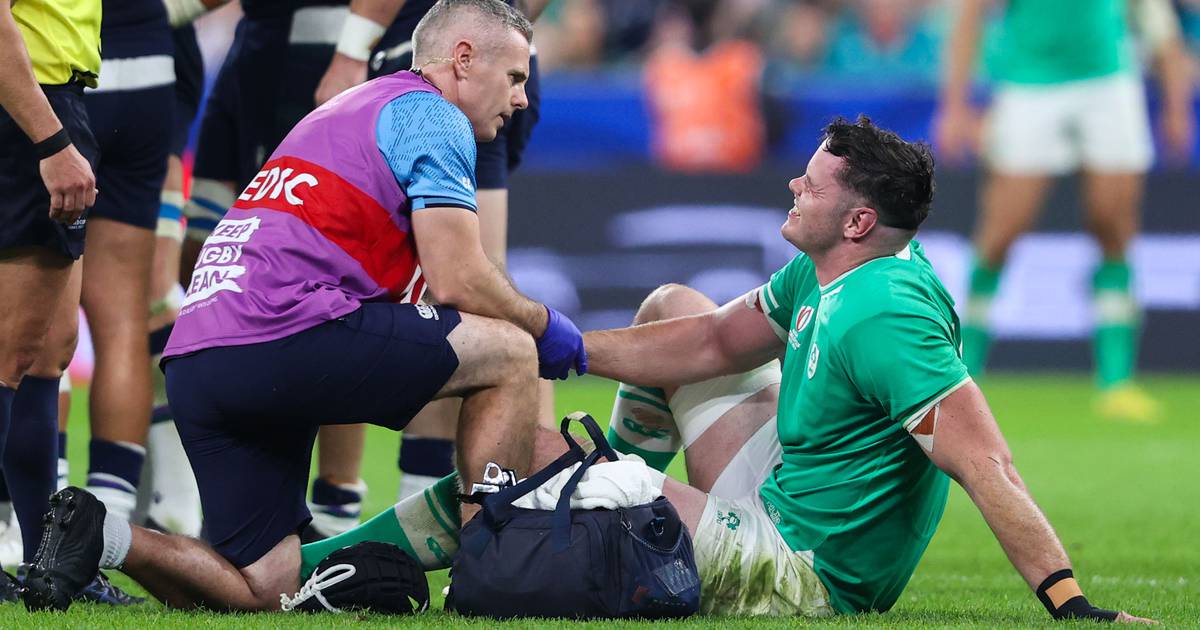 Джерри Торнли ожидает, что Ирландия сыграет с Новой Зеландией — Irish Times