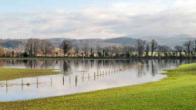 Irish climate-change policies should turn on ‘science, not politics’