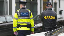 Ten firearms found in bag in Dublin were owned by Kinahan cartel, gardaí believe